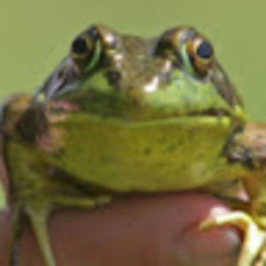 Meet your Posher, Lori